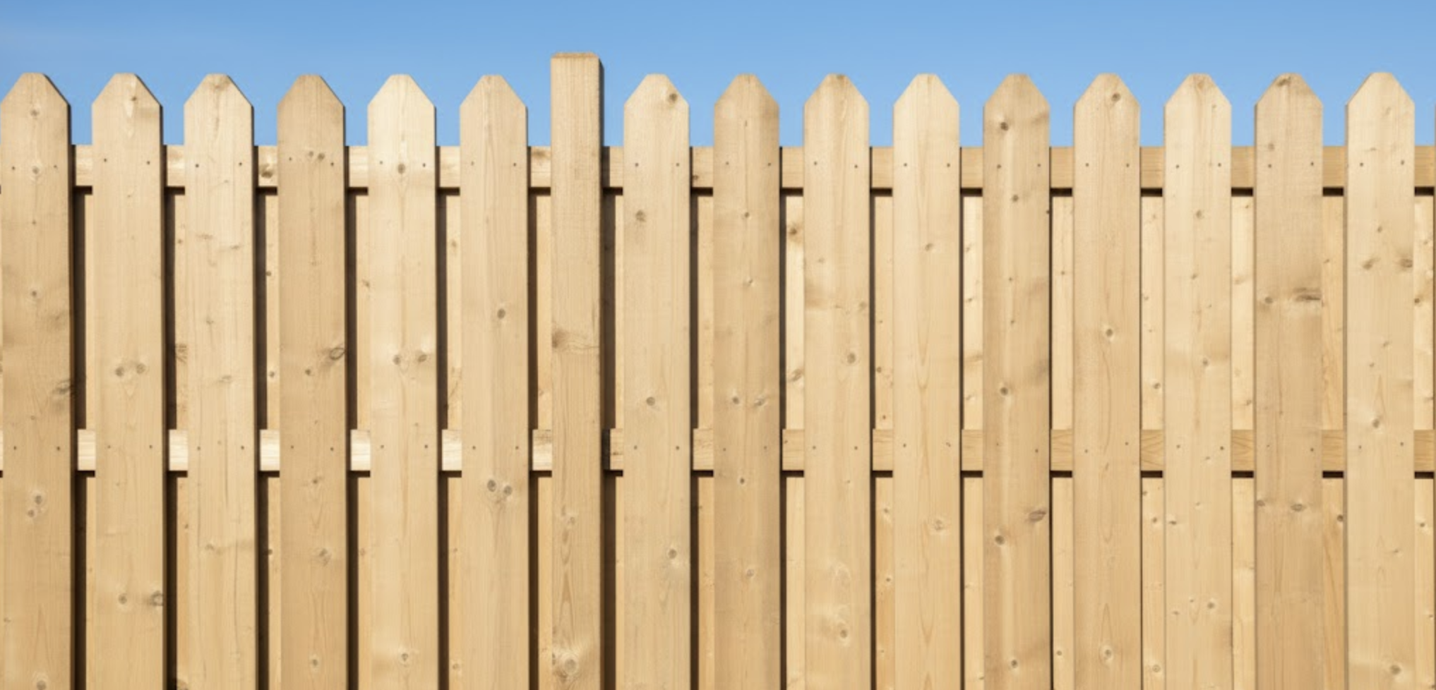 Services image 1 9 26 at 6.23 pm